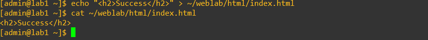 Custom webpage placeholder