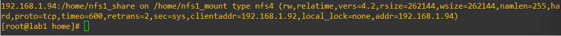Verify NFS exports placeholder