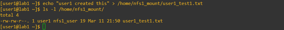 Mount NFS share placeholder